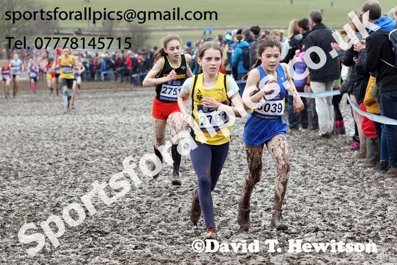 Girls under-13s 2018 British Inter Counties Cross Country Champs., Prestwold Hall, Loughborough. Photo: David T. Hewitson/Sports for All Pics